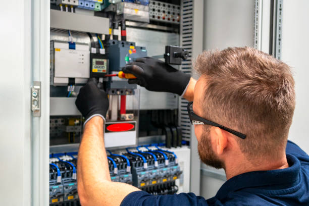 Best Ceiling Fan Installation Electrician  in Wacousta, MI