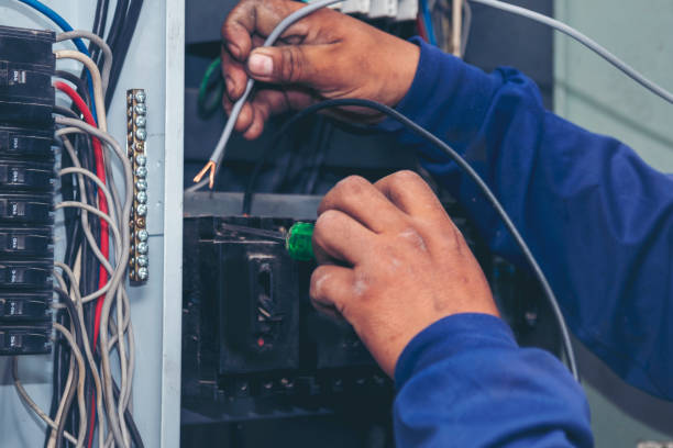 Best Electrical Installation Contractor  in Wacousta, MI